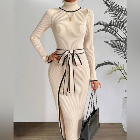 Passion of Essence Dresses & Skirts - PASSION Contrast Binding Turtleneck Belted Sweater Dress